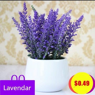 100-lavendar