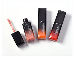 21 Color  Lipstick Waterproof Red Lip Long Lasting Makeup